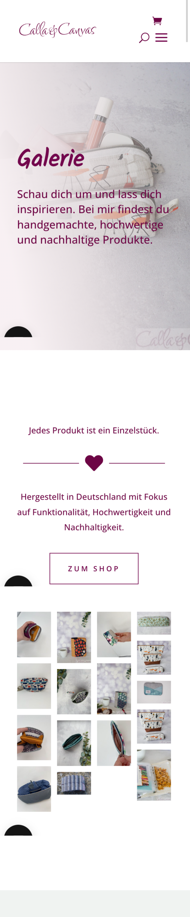 Projekt Onlineshop Divi WordPress Website 5