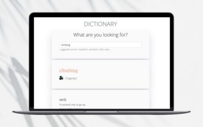 Projektvorstellung: Wörterbuch App (selbst gecodet mit React und API-Anbindung)