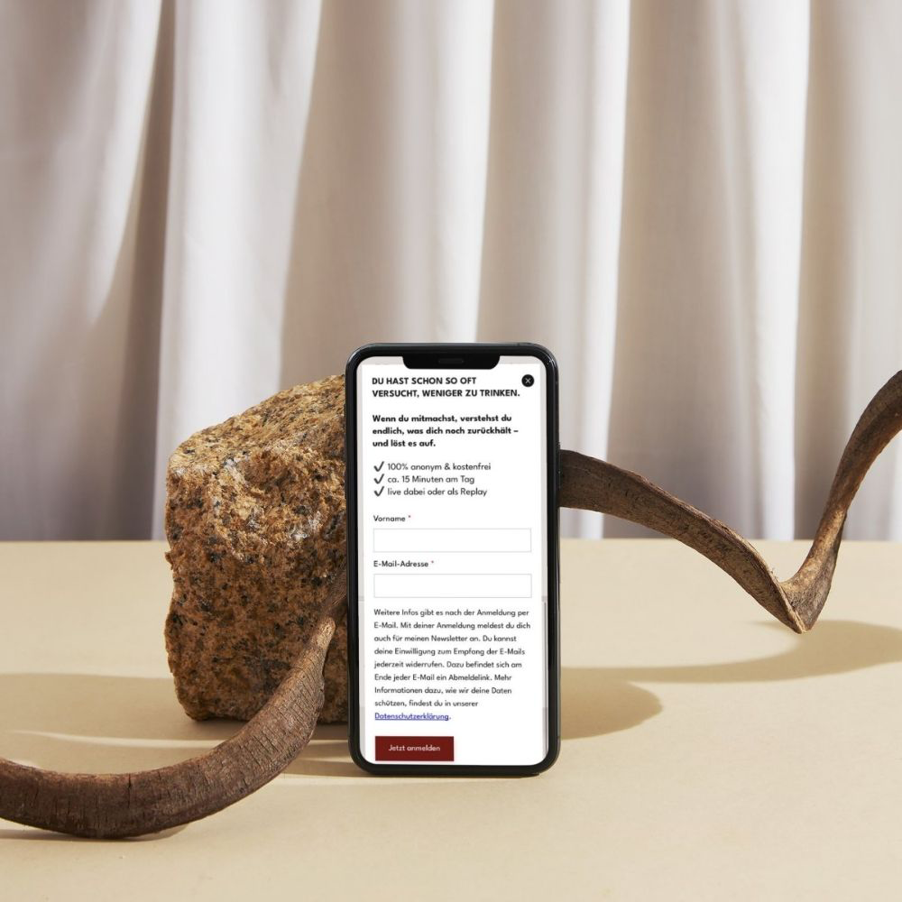 Handyansicht E-Mail-Marketing Formular